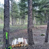 Review photo of Sam Billings Memorial Campground by Steve O., May 23, 2022