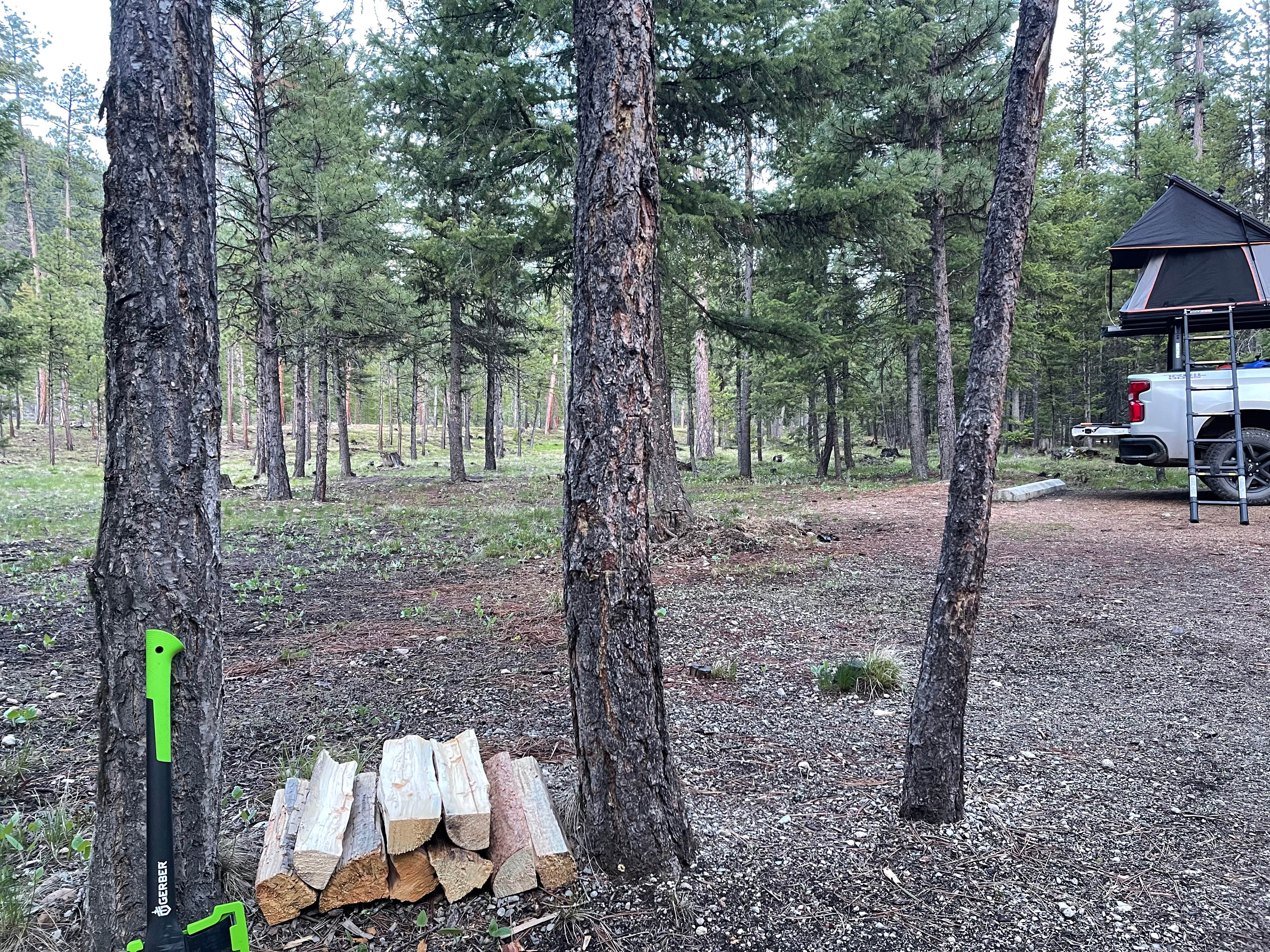 Camper submitted image from Sam Billings Memorial Campground - 1