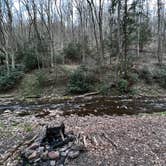 Review photo of Savage River State Forest by Neil T., May 23, 2022