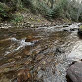 Review photo of Savage River State Forest by Neil T., May 23, 2022