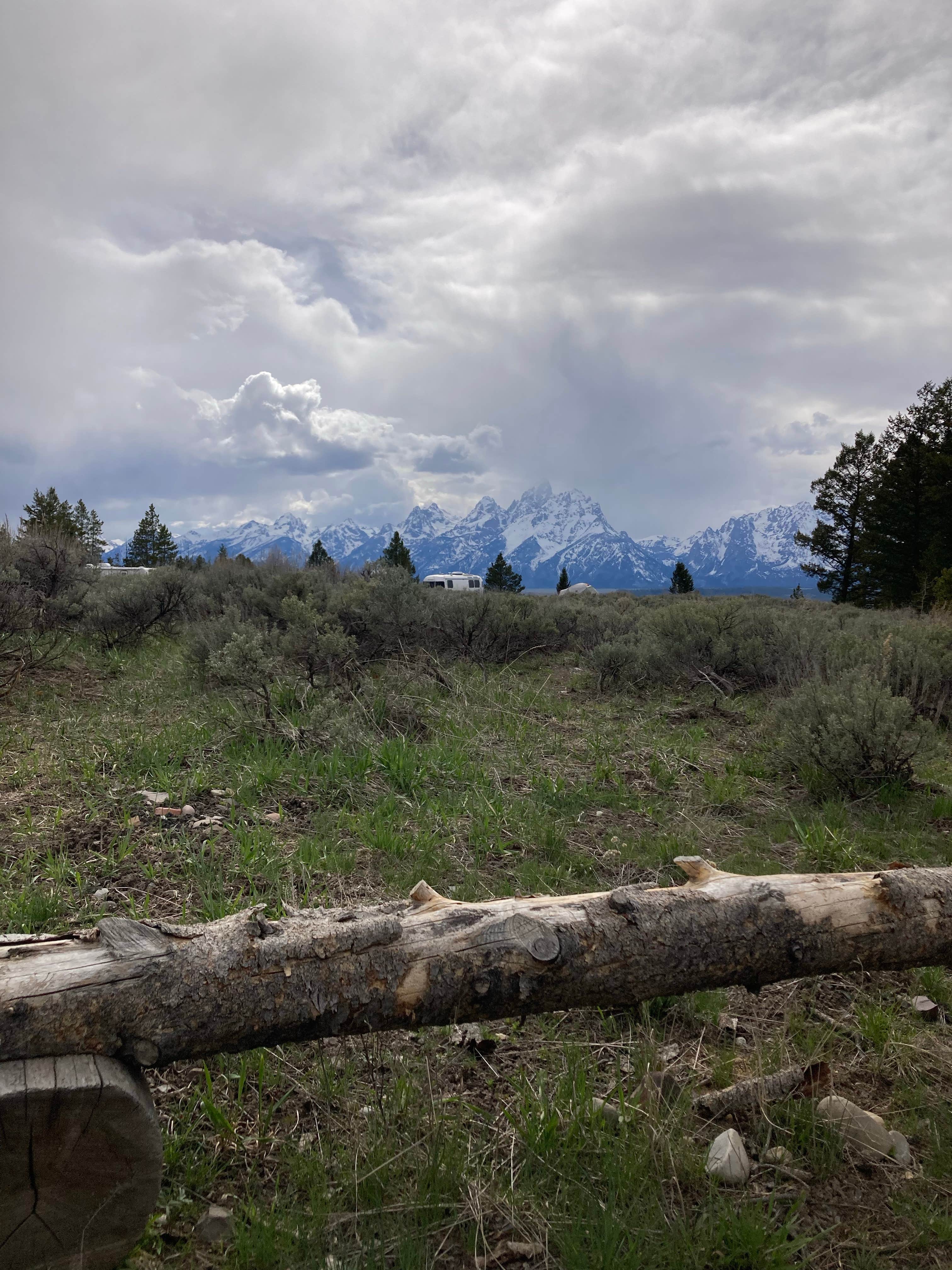 Camper submitted image from Upper Teton View Dispersed - 4