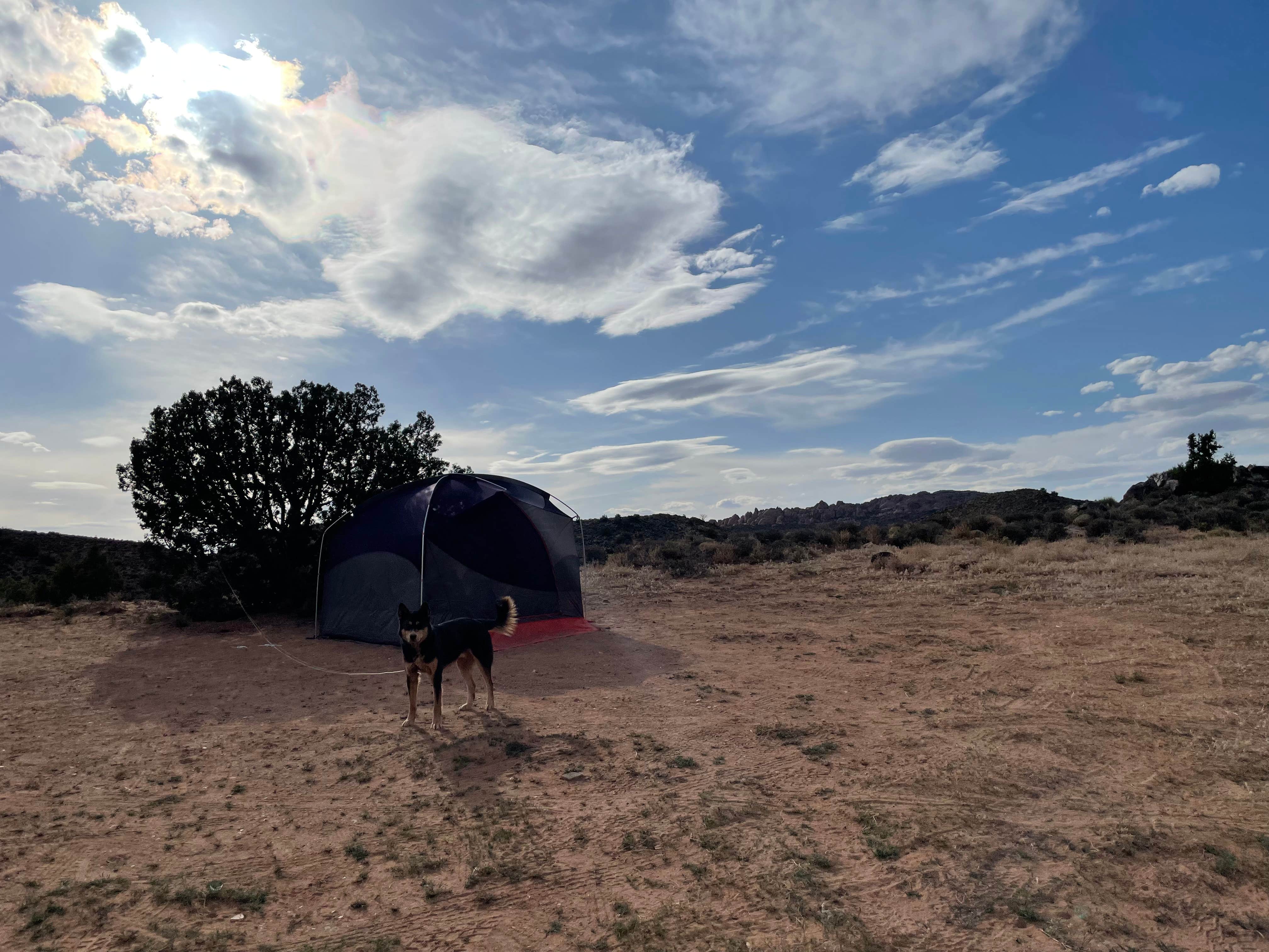 Toni  K.'s photo of tent camping at Yellow Circle Road Dispersed Camping Area near Castle Valley, UT