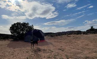 Toni K.'s photo of tent camping at Yellow Circle Road Dispersed Camping Area in Utah