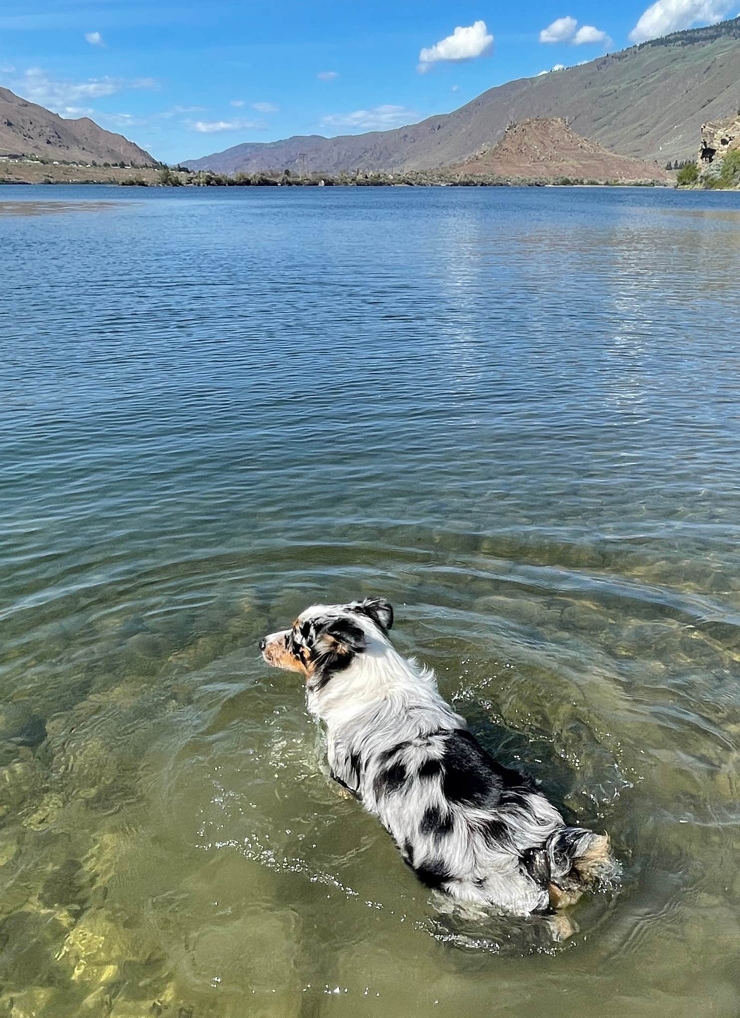 Tim F.'s photo of camping with pets at Lincoln Rock State Park Campground near Peshastin, WA