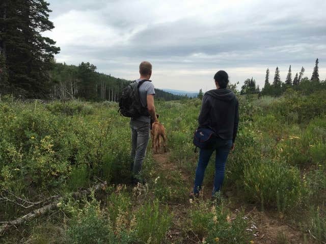 Camper-submitted photo at Ute Lodge near Hayden, CO