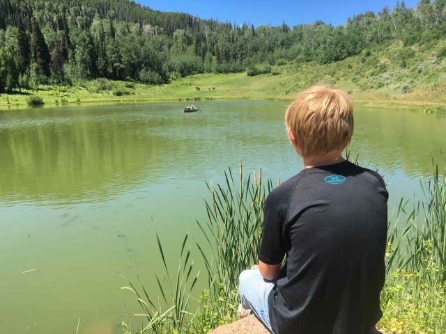 Camper-submitted photo at Ute Lodge near Hayden, CO