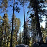 Review photo of Dru Barner Campground — Eldorado National Forest by Maxim B., May 23, 2022