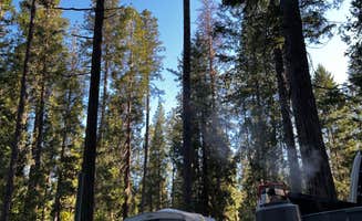 Maxim B.'s photo at Dru Barner Campground — Eldorado National Forest near Weimar, CA