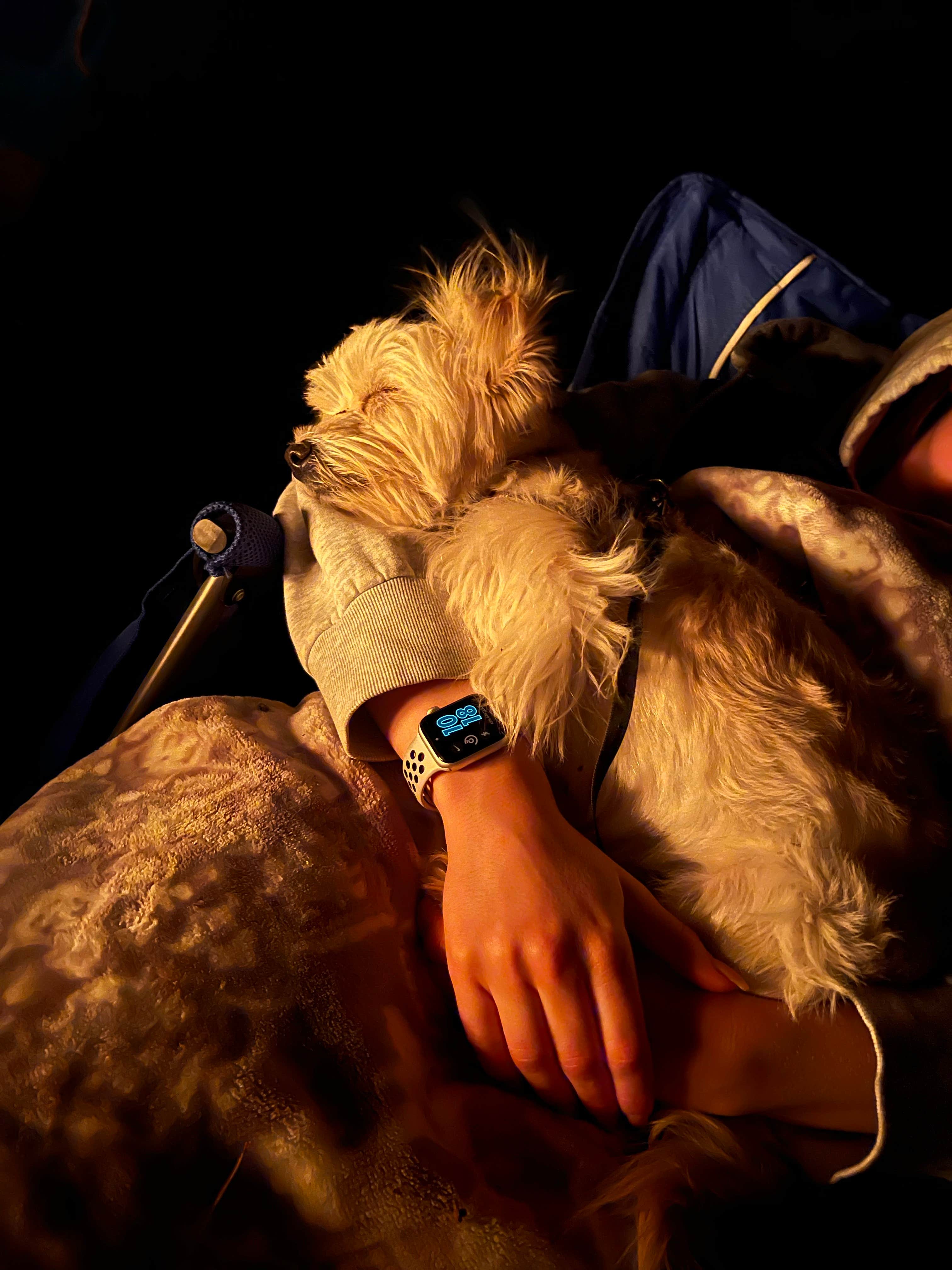 Maxim B.'s photo of camping with pets at Dru Barner Campground — Eldorado National Forest near Foresthill, CA