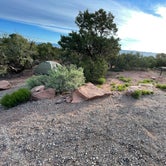 Review photo of Saddlehorn Campground — Colorado National Monument by Kate S., May 23, 2022