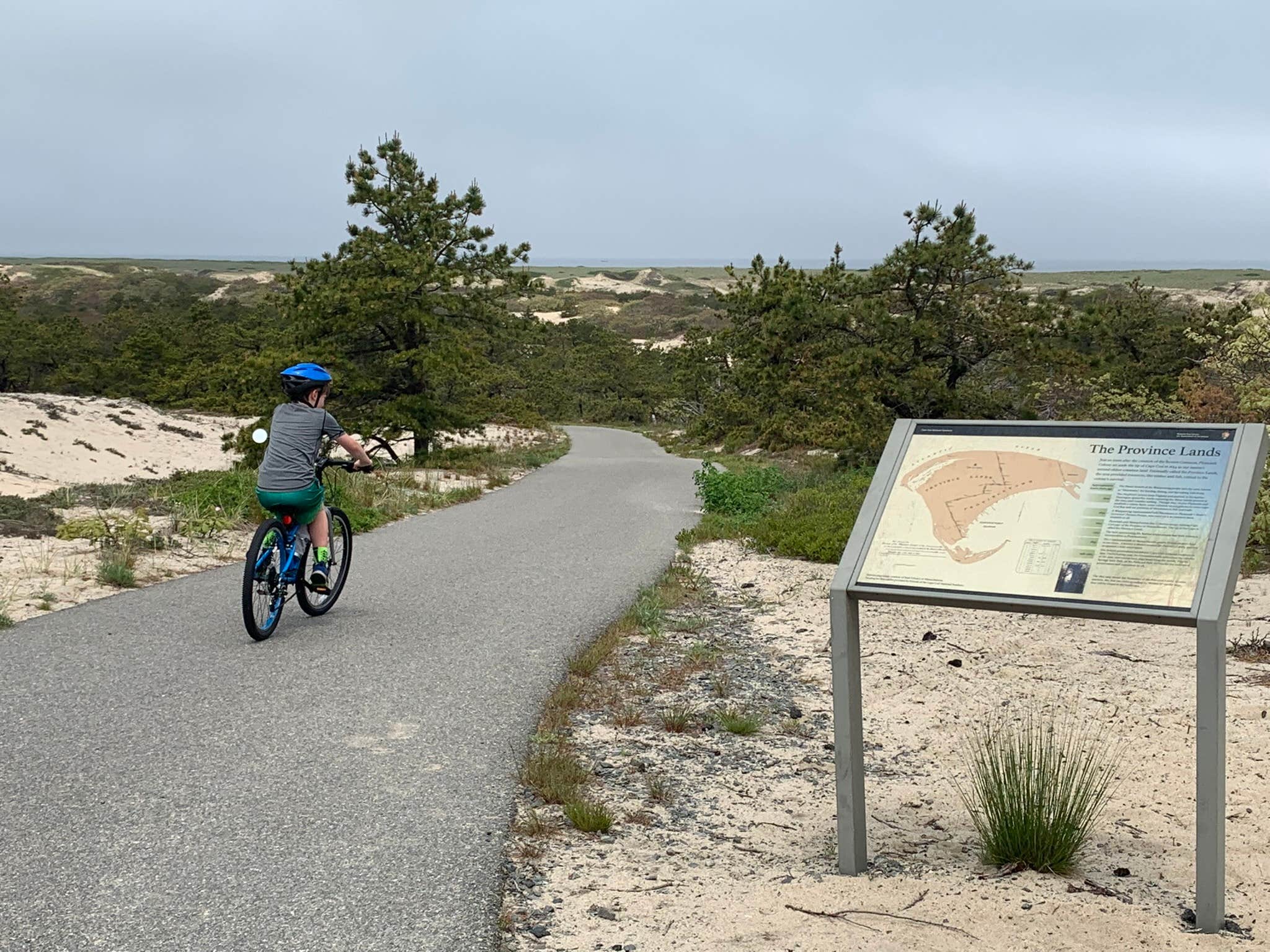 Camper submitted image from Dunes' Edge Campground - Provincetown Camping - 5