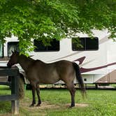 Review photo of Blackwell Campground — Hoosier National Forest by Gary J., May 23, 2022