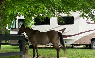Gary J.'s photo of camping with a horse at Blackwell Campground — Hoosier National Forest near Paoli, IN