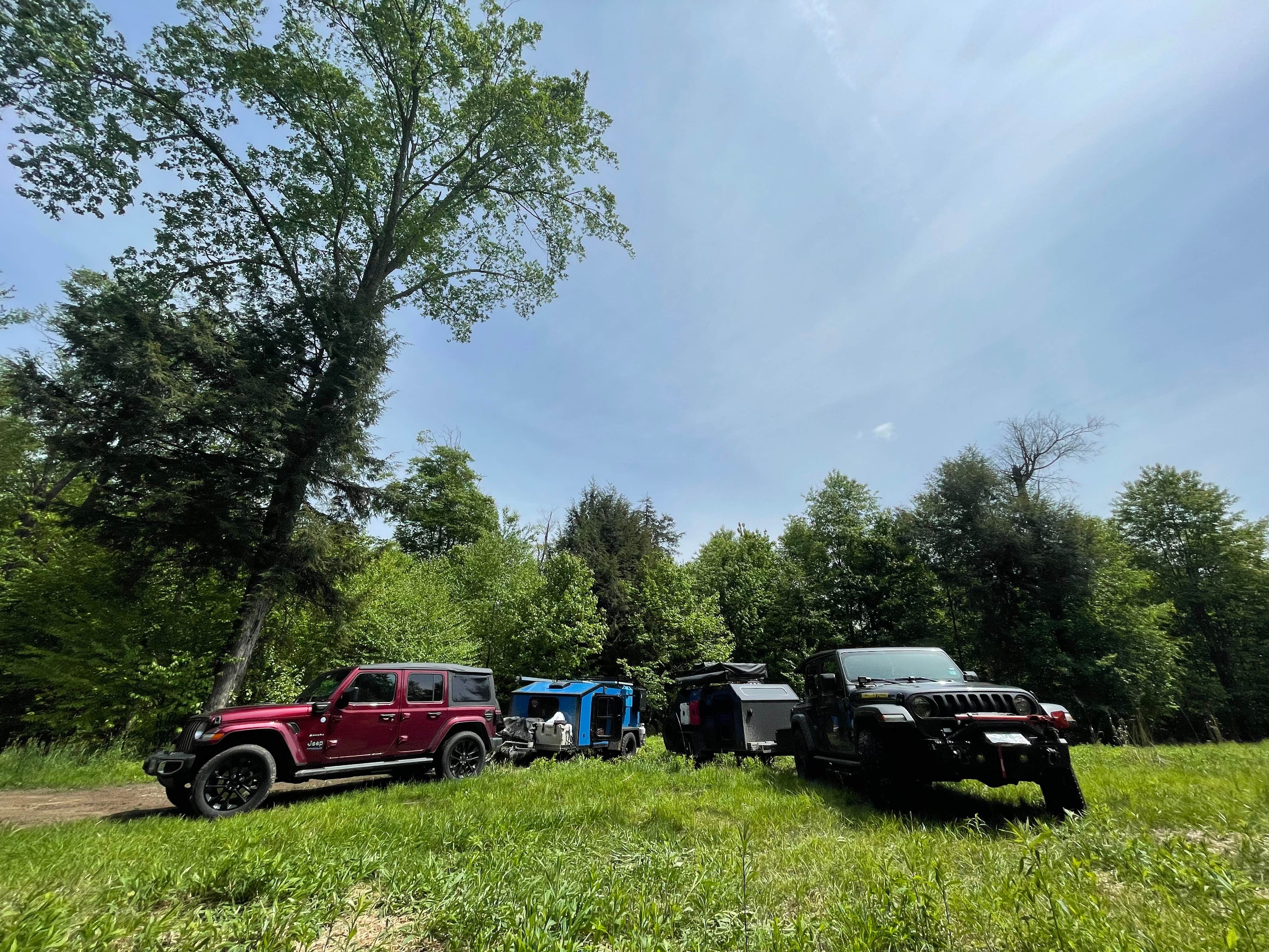 Camper-submitted photo at Forestry Road Dispersed Campsite near Tionesta, PA