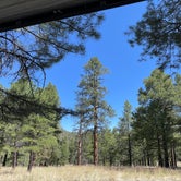 Review photo of Kaibab Lake Sites And Group Areas by Bryan H., May 23, 2022