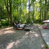 Review photo of Davidson River Campground by Justin S., May 23, 2022