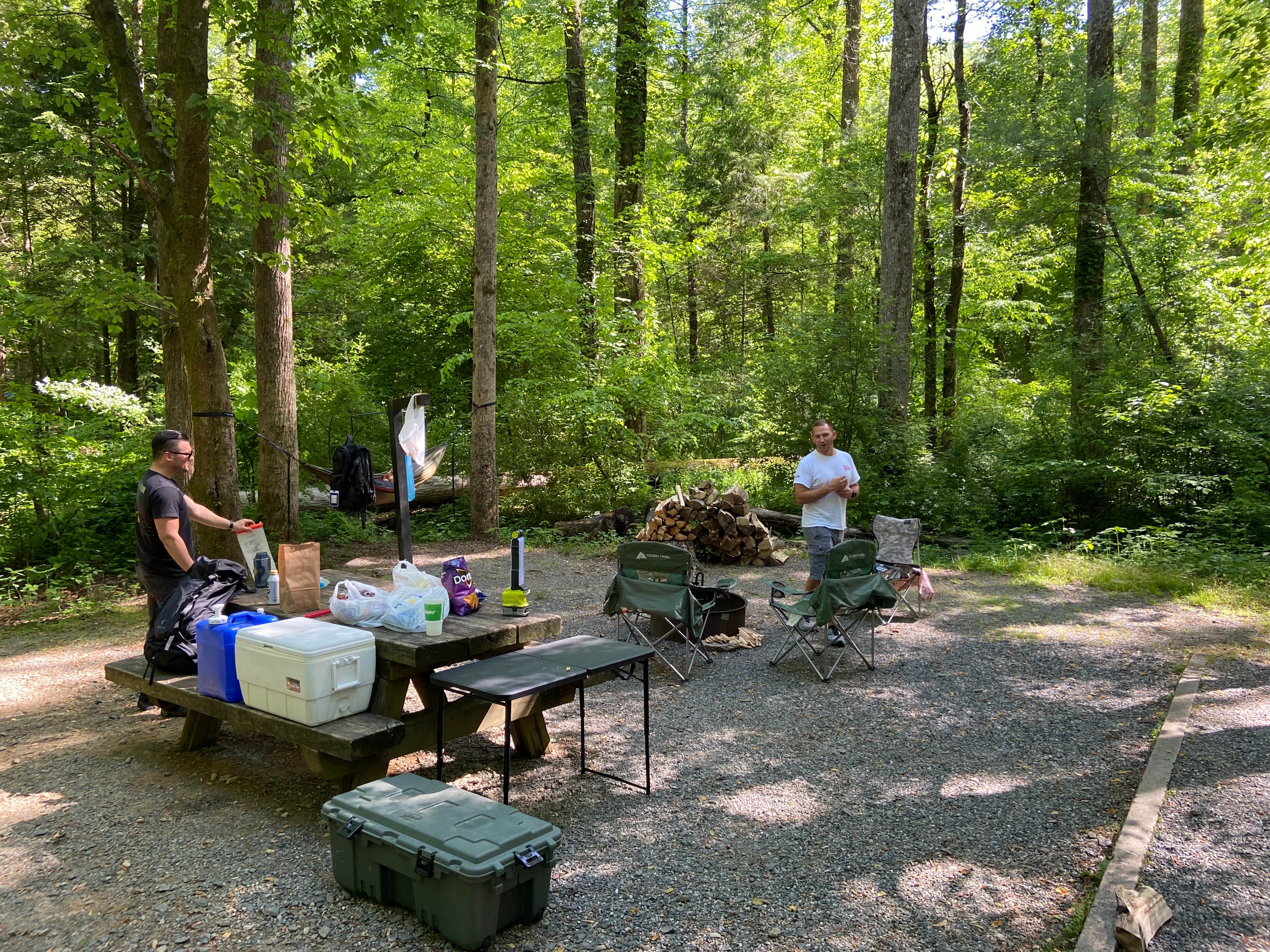 Justin S.'s photo at Davidson River Campground near Penrose, NC