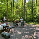 Review photo of Davidson River Campground by Justin S., May 23, 2022