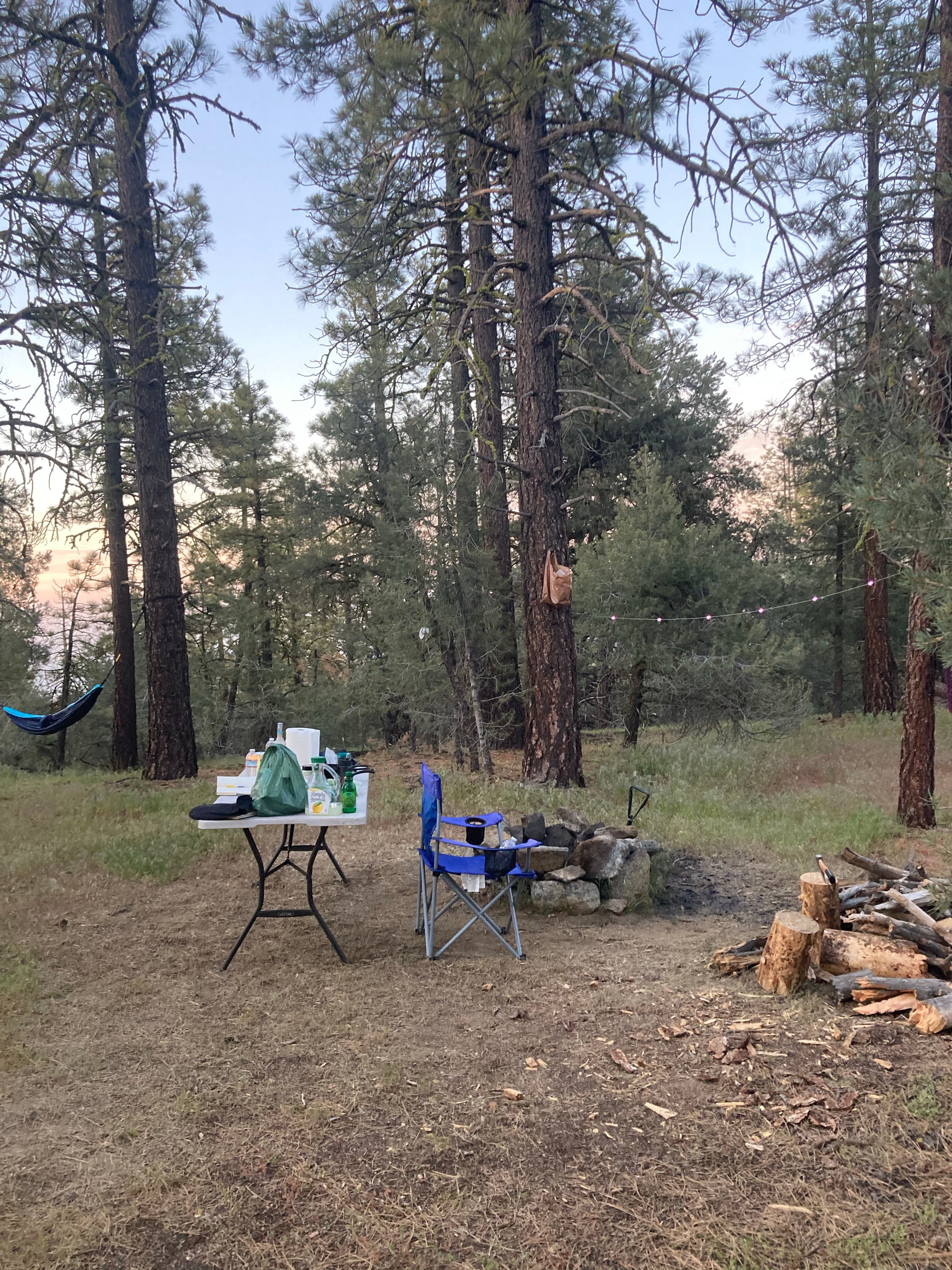 Camper submitted image from Cherry Creek Campground - 1