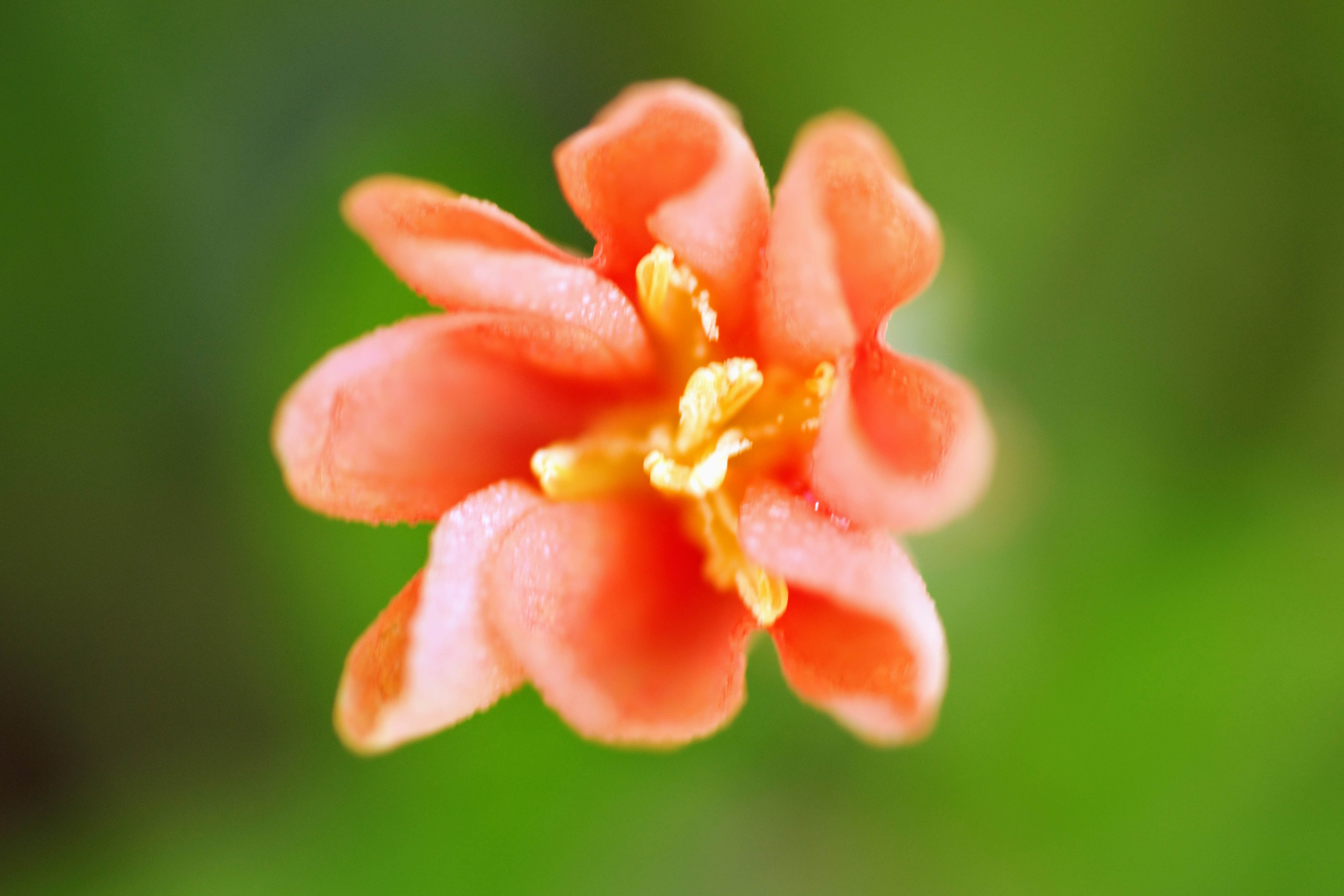 Camper-submitted photo at Suwannee River Bend RV Park near Trenton, FL