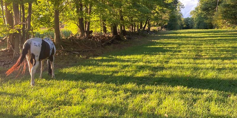 Camper submitted image from Starr Farm