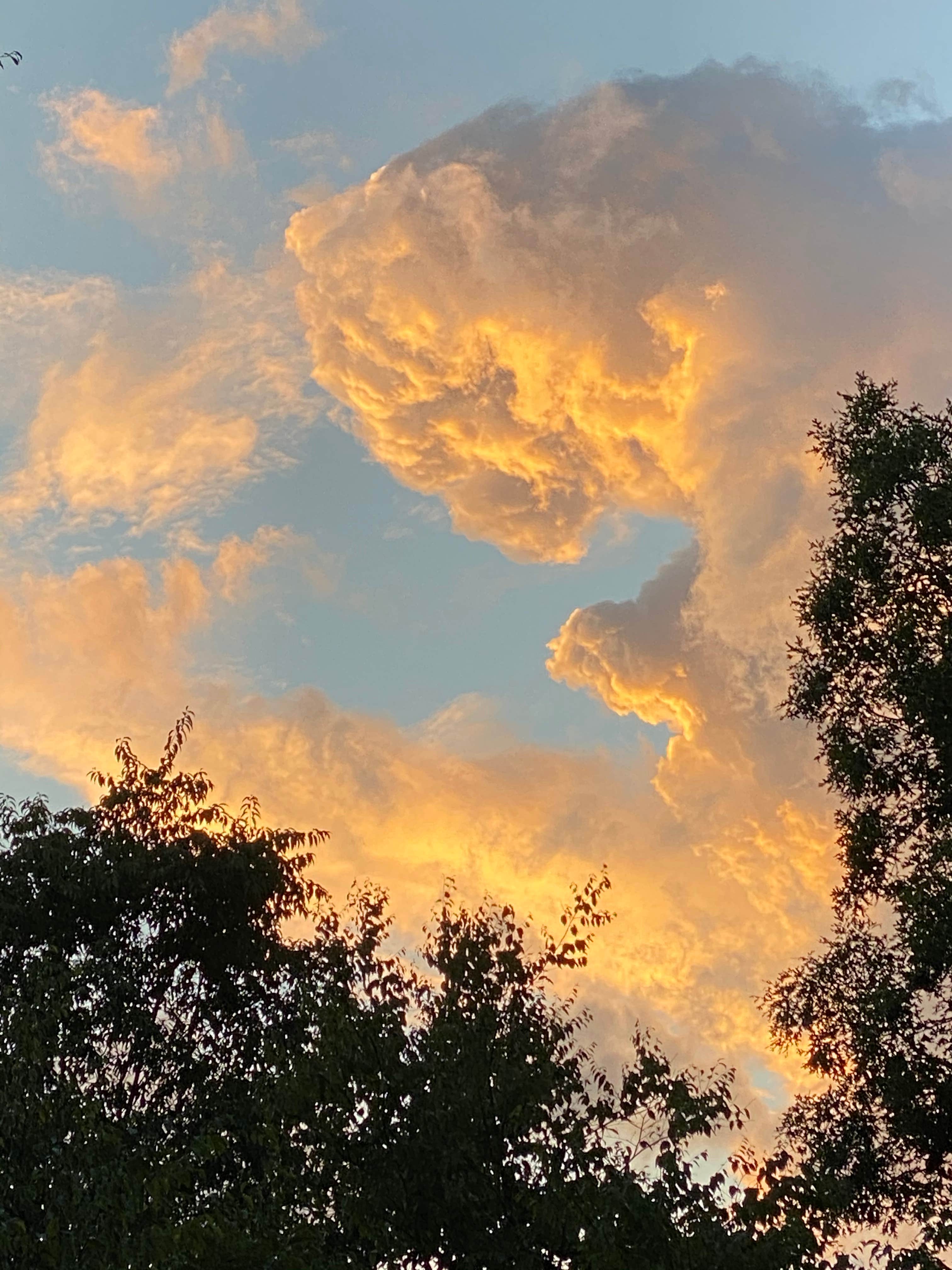 Camper-submitted photo at Starr Farm near Kennerdell, PA