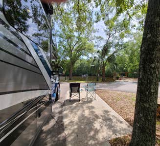 Camper-submitted photo from Suwannee River Bend RV Park