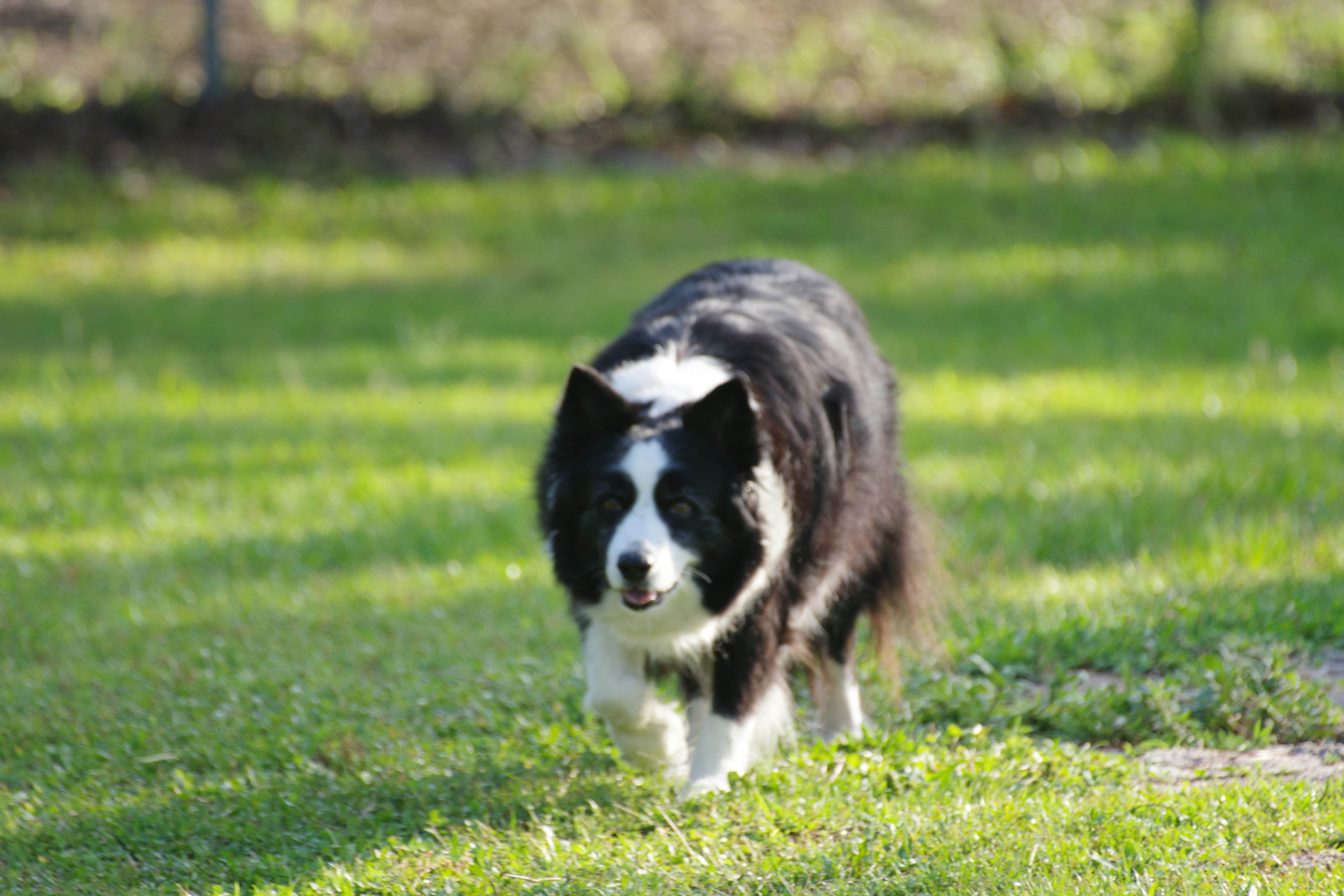 Camping near Hawaiian Isles RV Resort: Manatee RV Park, Ruskin, Florida