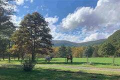 Camping near George Washington National Forest Sherando Lake Campground: Sherpa Forest, Afton, Virginia