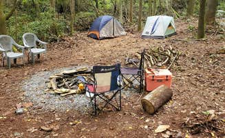 Mark G.'s photo at Black Mountain Creek Side near Swannanoa, NC