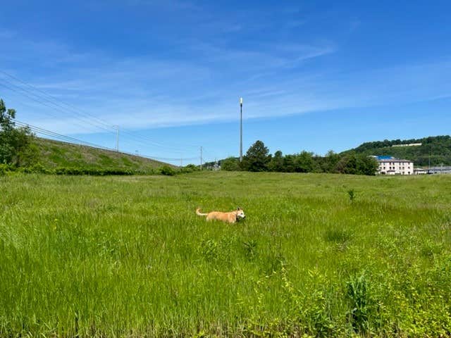 Camper-submitted photo at Cave Country RV Campground near Lafayette, TN