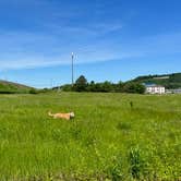 Review photo of Cave Country RV Campground by Duncan G., May 23, 2022