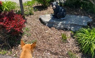 Duncan G.'s photo of camping with pets at Cave Country RV Campground near Mammoth Cave, KY