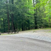 Review photo of Babcock State Park Campground by Duncan G., May 23, 2022