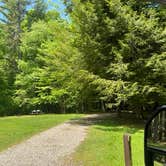 Review photo of Babcock State Park Campground by Duncan G., May 23, 2022