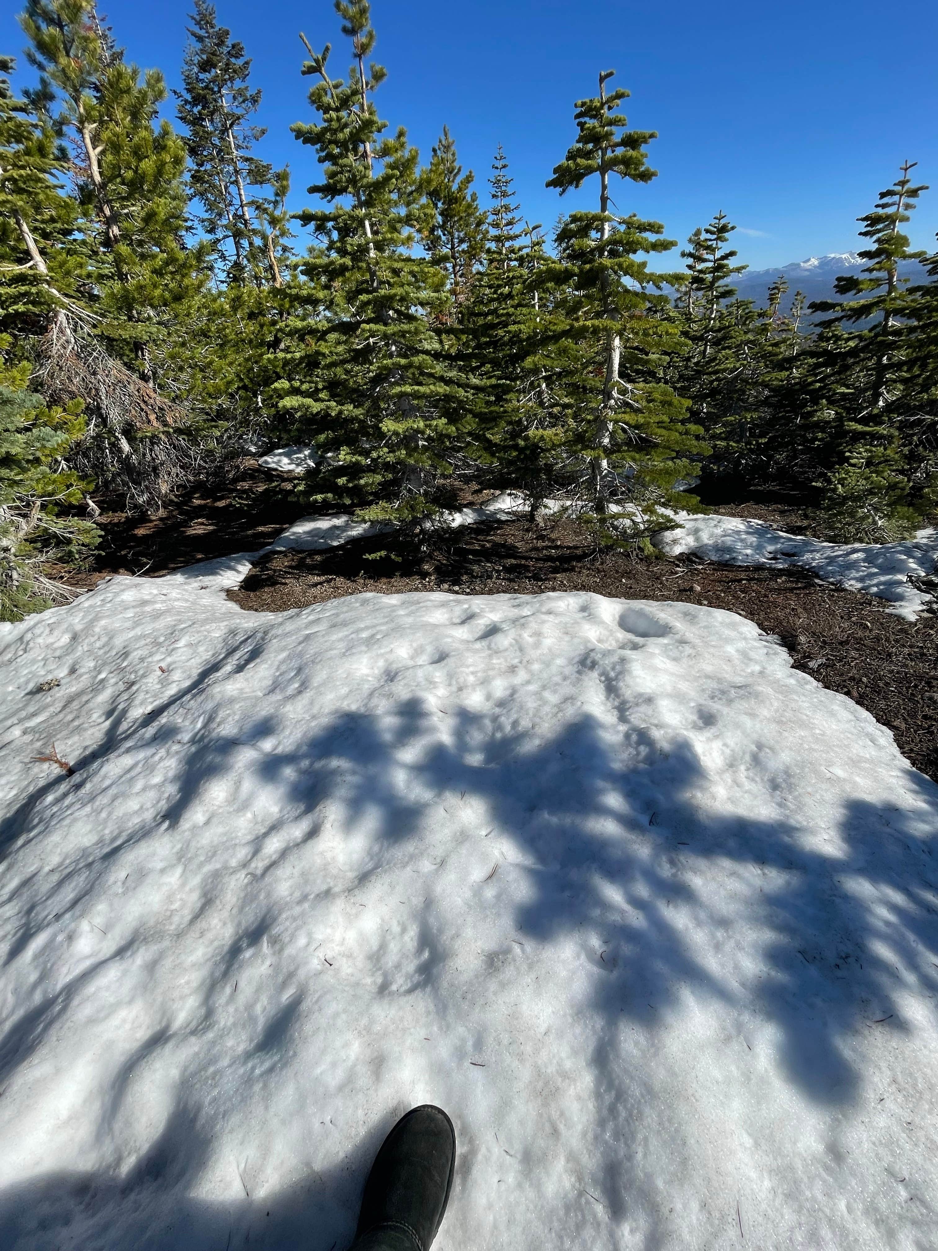 Camper-submitted photo at Iron MT. Dispersed near Eldorado National Forest