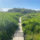 Review photo of Clam Beach County Park by Andi M., May 24, 2022