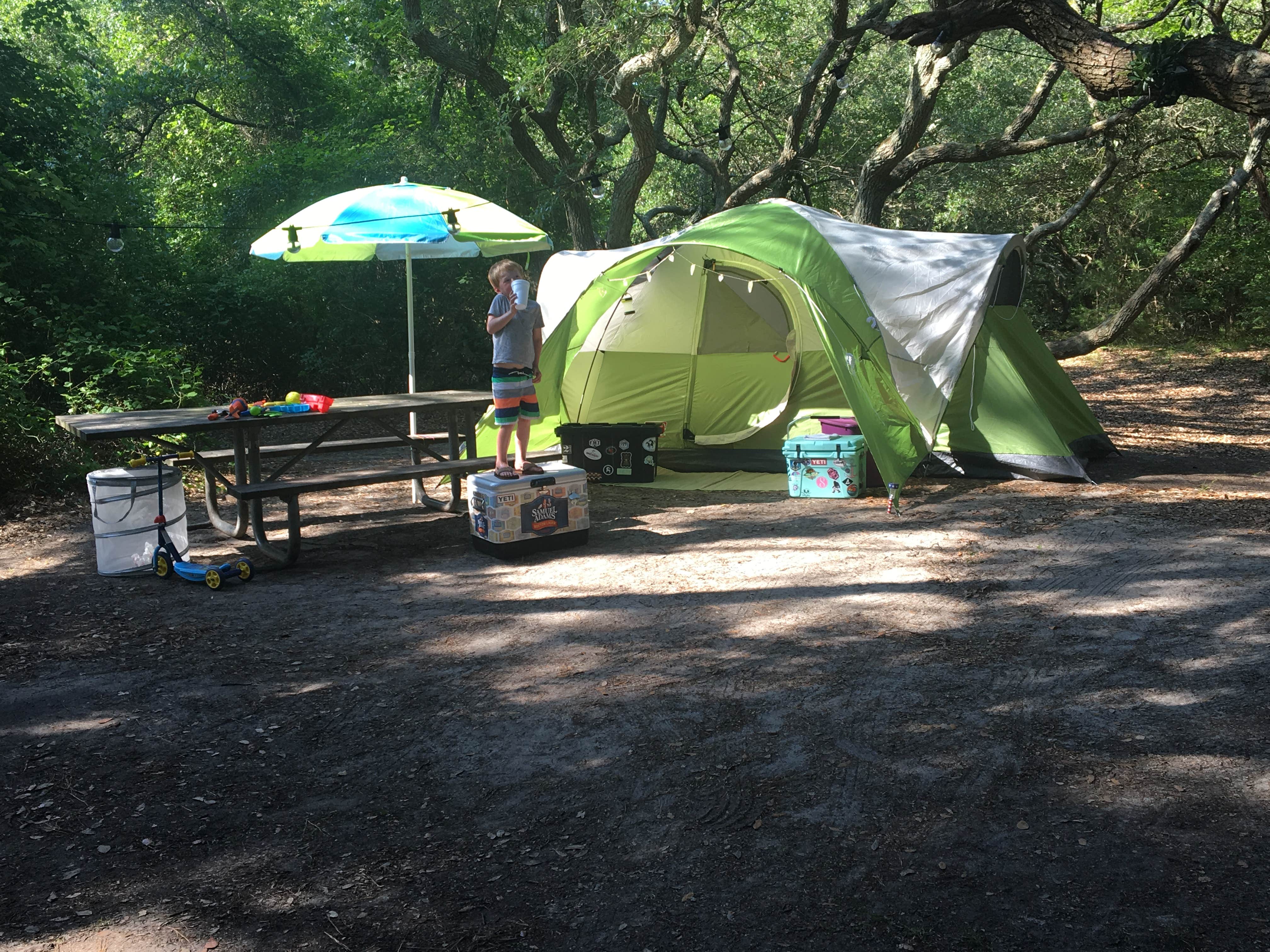 Sarah F.'s photo at First Landing State Park Campground near Virginia Beach, VA