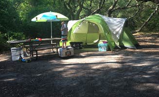 Sarah F.'s photo at First Landing State Park Campground near Virginia Beach, VA
