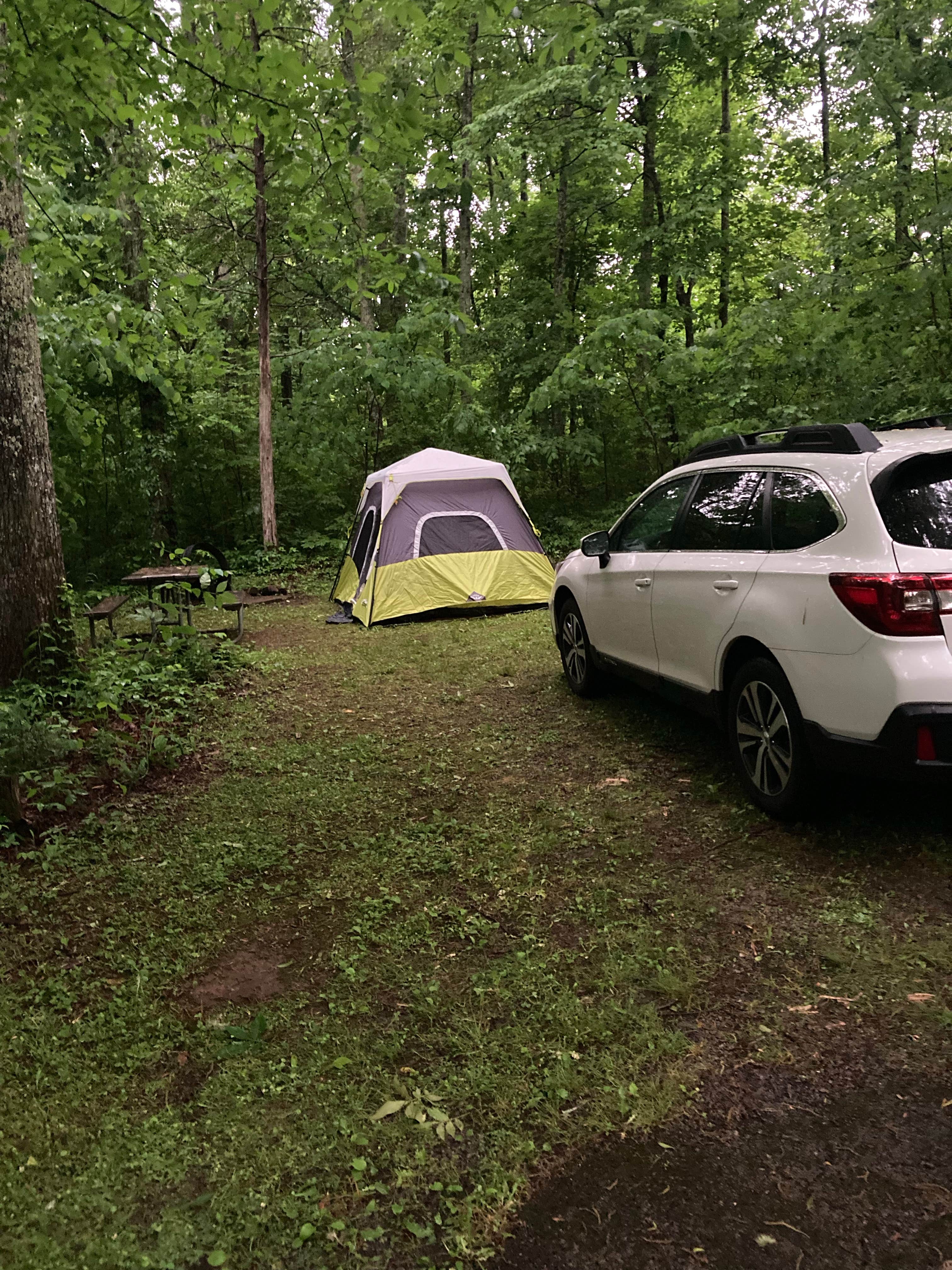 Frank H.'s photo at Wilderness Road Campground near Cumberland Gap National Historic Park