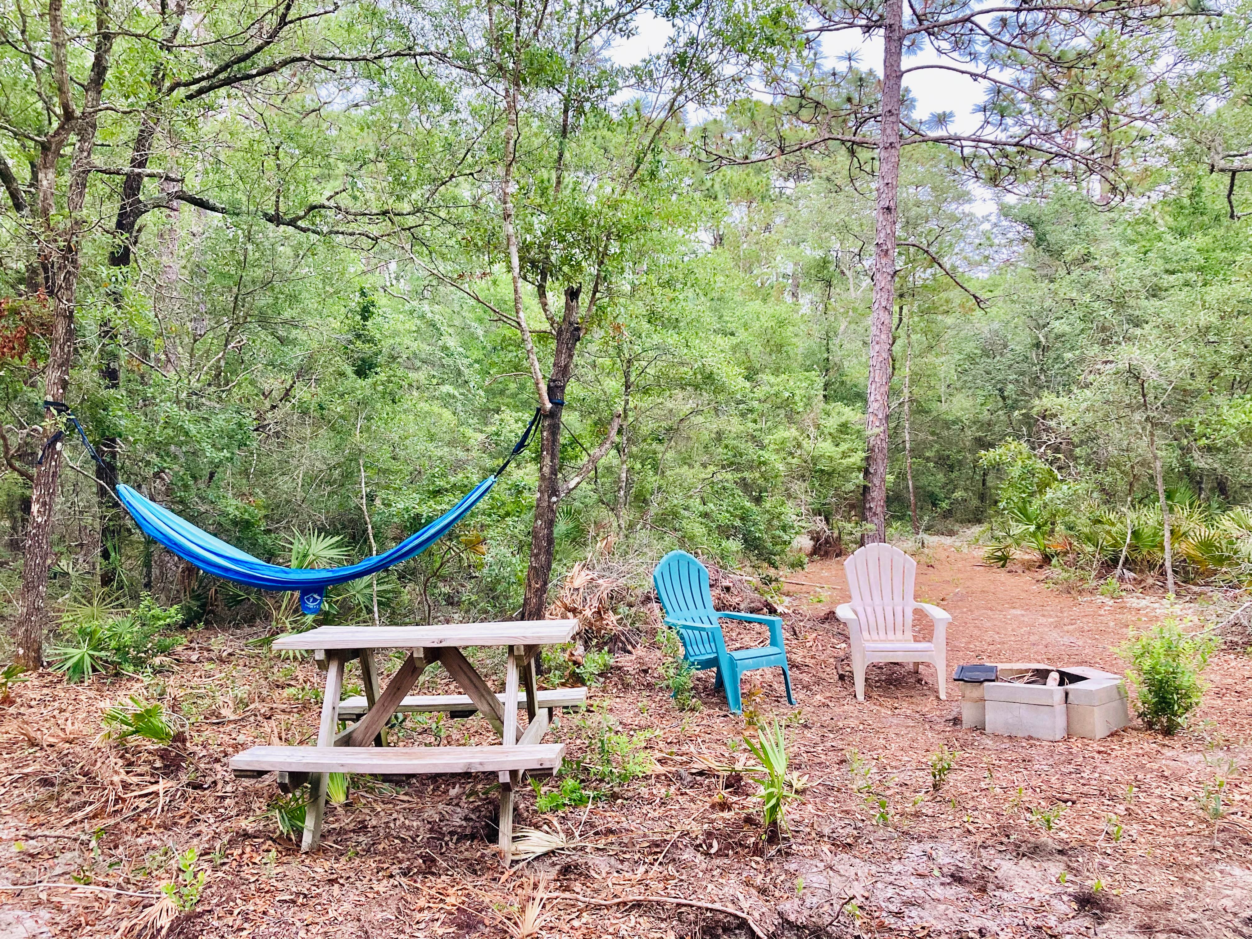 Camper submitted image from Bay Forest Retreat - 2