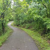 Review photo of Dr. Edmund A. Babler Memorial State Park Campground by Jan S., May 24, 2022