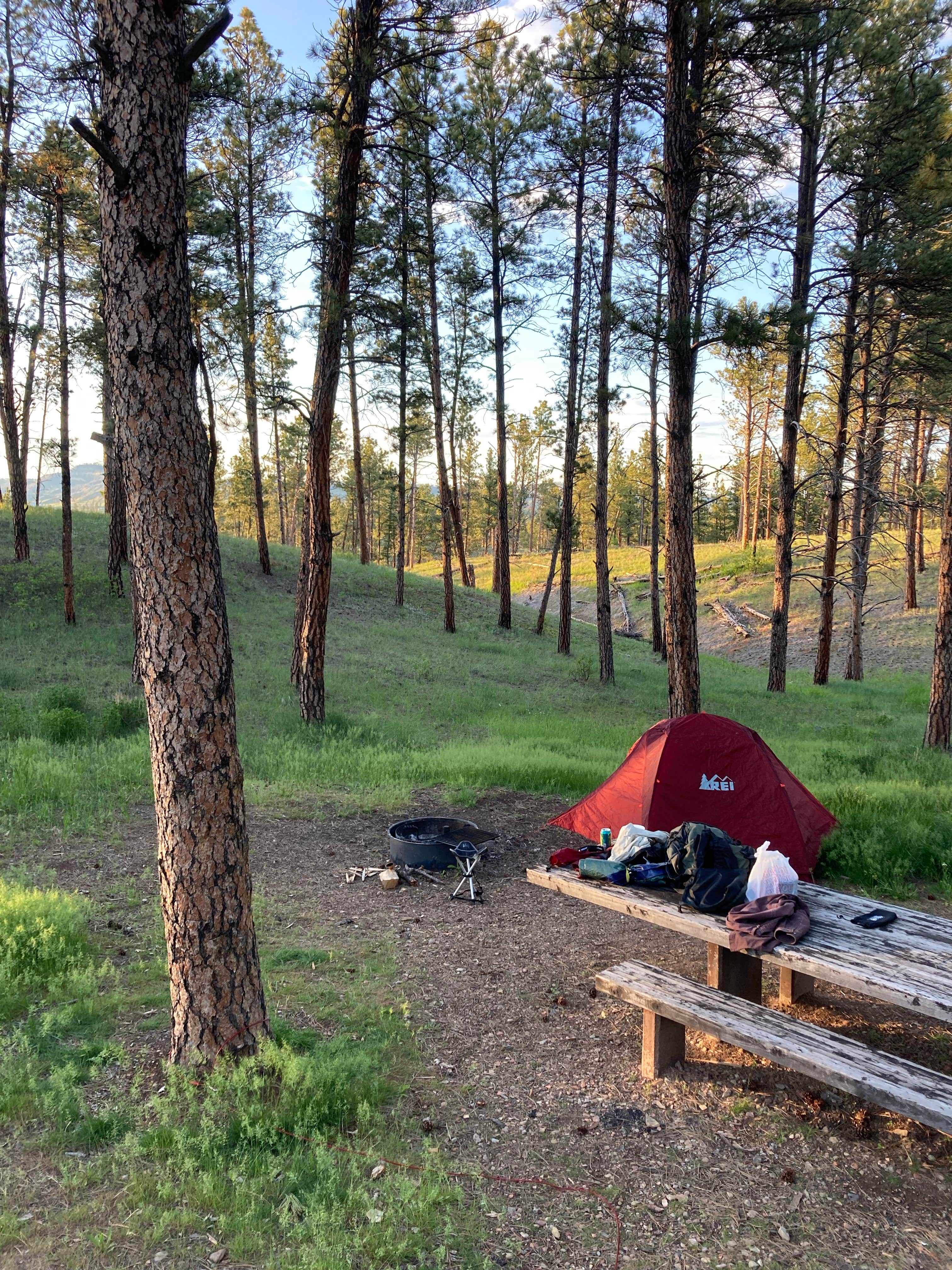 Fred's photo at Red Shale Campground & Geocache Site near Custer National Forest