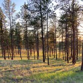 Review photo of Red Shale Campground & Geocache Site by Fred , May 24, 2022