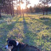 Review photo of Red Shale Campground & Geocache Site by Fred , May 24, 2022