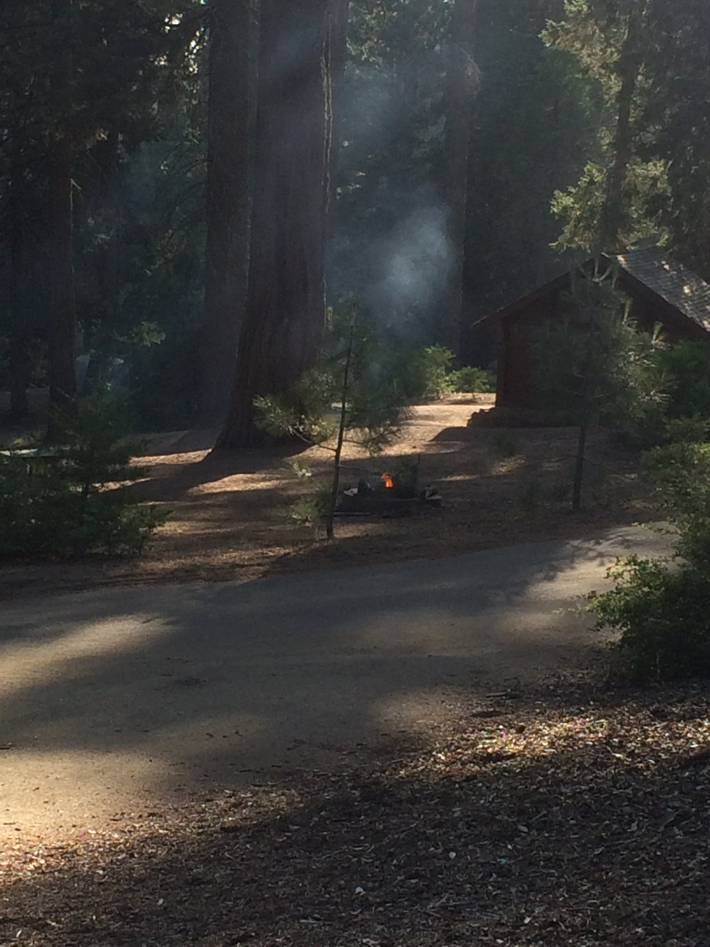 Camper submitted image from Crystal Springs Campground — Kings Canyon National Park - 4