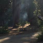 Review photo of Crystal Springs Campground — Kings Canyon National Park by Gannon N., July 14, 2018