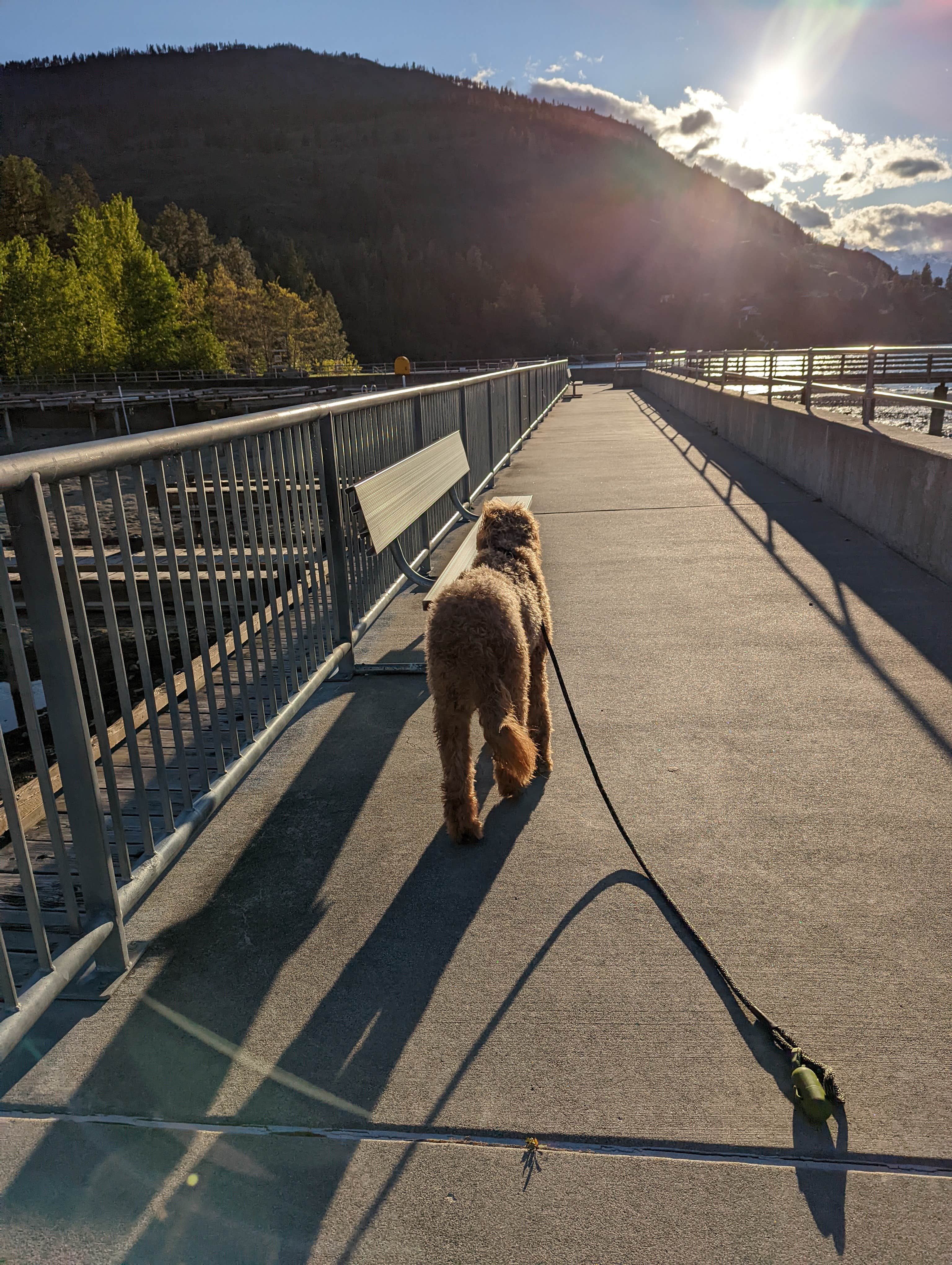 Laura L.'s photo of camping with pets at Twenty-Five Mile Creek State Park near Chelan, WA