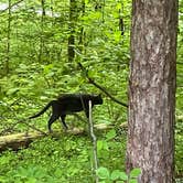 Review photo of Yellowwood State Forest by Al L., May 24, 2022