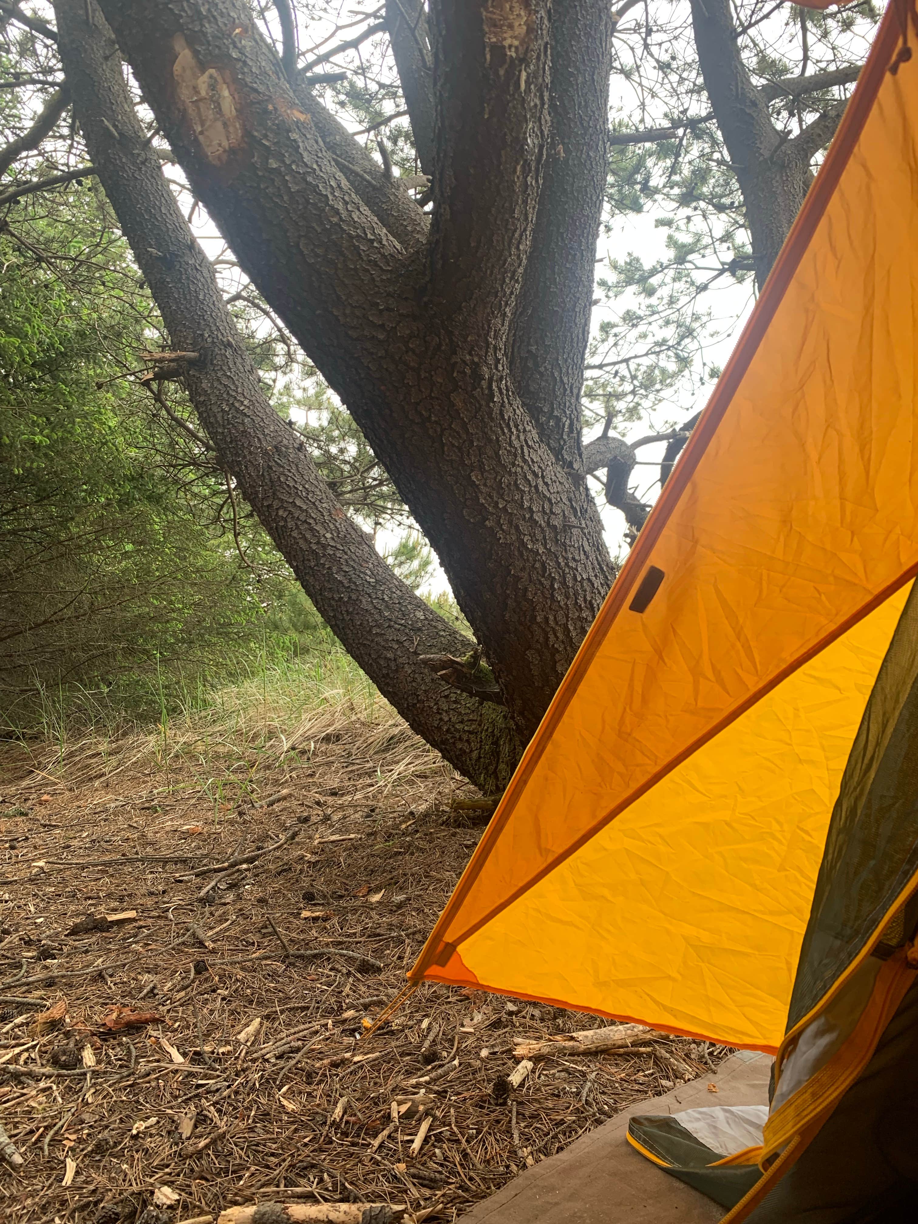 madeline's photo at The Lamp Camp near Loomis, WA